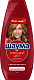 ШАУМА Шампунь Сияющий Цвет /360 №1051373700
