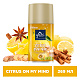 ГЛЭЙД Унив. смен. блок CITRUS ON MY MIND №1120061500